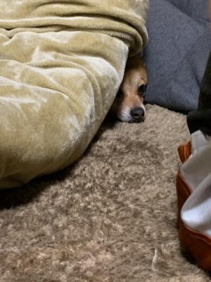 image3_7.jpeg