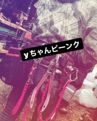 image1_12.jpeg