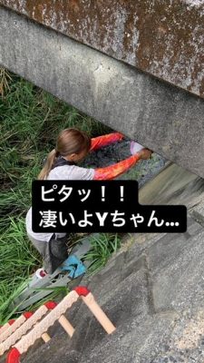 image2_2.jpeg