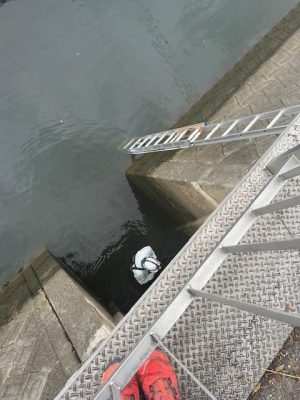 image1.jpeg