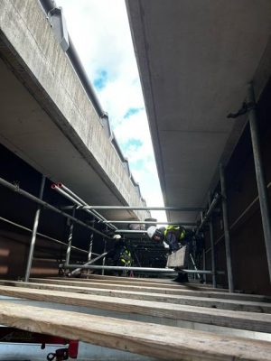 image4.jpeg
