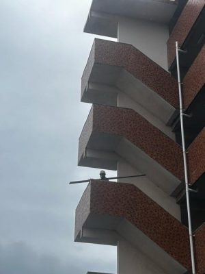 image0_17.jpeg