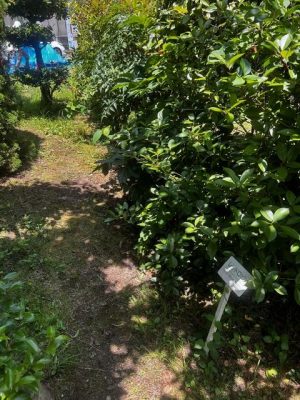 image0_20.jpeg
