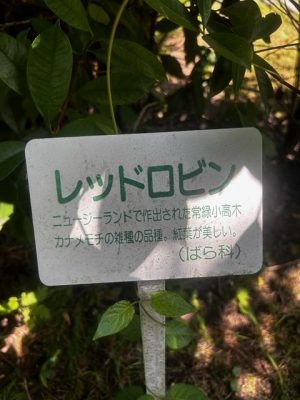 image1_19.jpeg