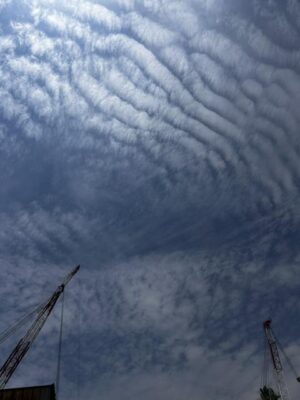 IMG_2538.jpeg