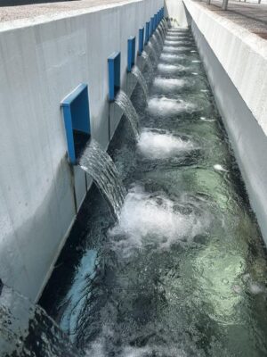 image1.jpeg