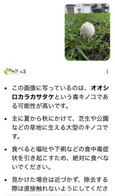image1_3.jpeg
