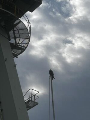 IMG_3390.jpeg