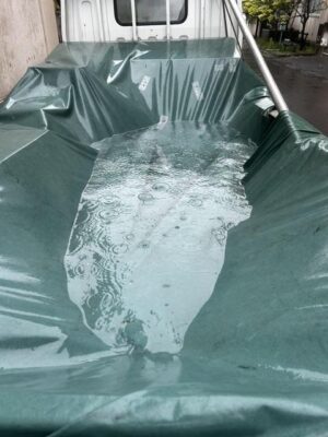 IMG_3813.jpeg