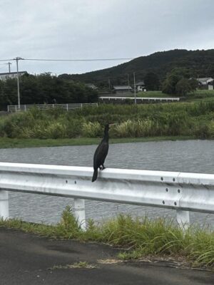 IMG_3816.jpeg